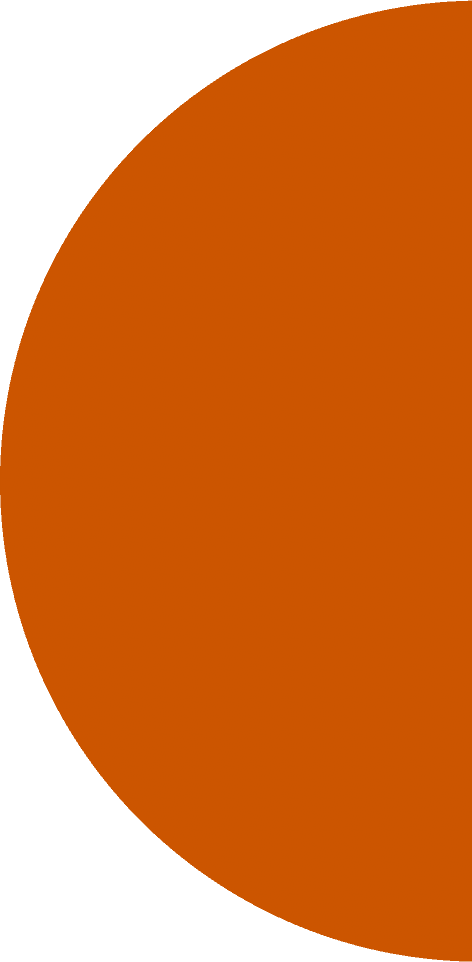Alineva Logo Right