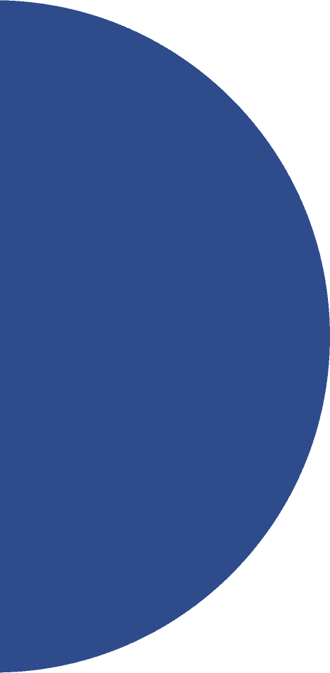 Alineva Logo Left